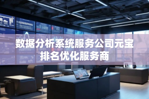 數(shù)據(jù)分析系統(tǒng)服務(wù)公司元寶排名優(yōu)化服務(wù)商
