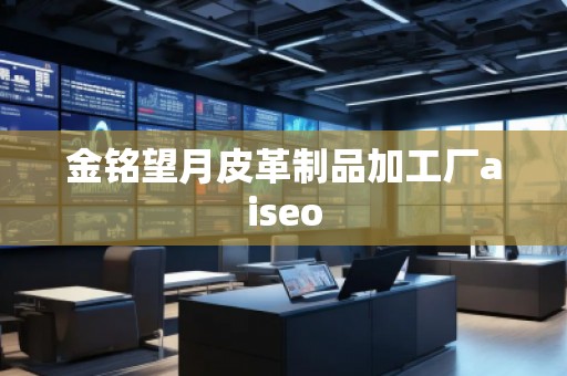 金銘望月皮革制品加工廠aiseo