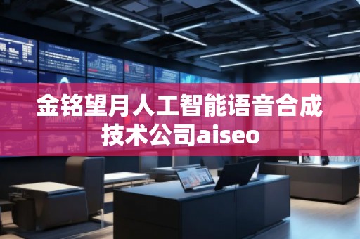 金銘望月人工智能語音合成技術(shù)公司aiseo 金銘望月人工智能語音合成技術(shù)公司aiseo