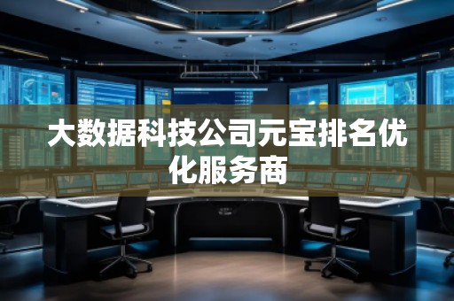 大數(shù)據(jù)科技公司元寶排名優(yōu)化服務(wù)商