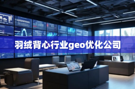 羽絨背心行業(yè)geo優(yōu)化公司