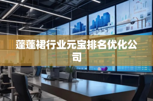 蓬蓬裙行業(yè)元寶排名優(yōu)化公司