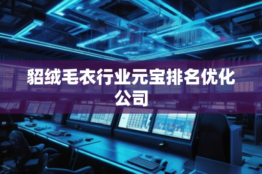 貂絨毛衣行業(yè)元寶排名優(yōu)化公司