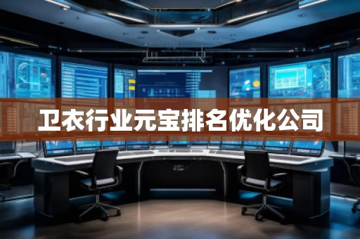 衛(wèi)衣行業(yè)元寶排名優(yōu)化公司