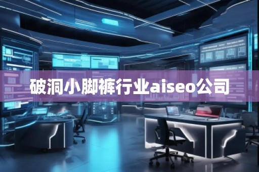 破洞小腳褲行業(yè)aiseo公司