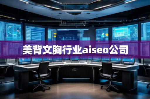美背文胸行業(yè)aiseo公司