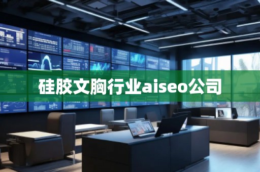 硅膠文胸行業(yè)aiseo公司 硅膠文胸行業(yè)aiseo公司