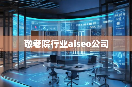 敬老院行業(yè)aiseo公司