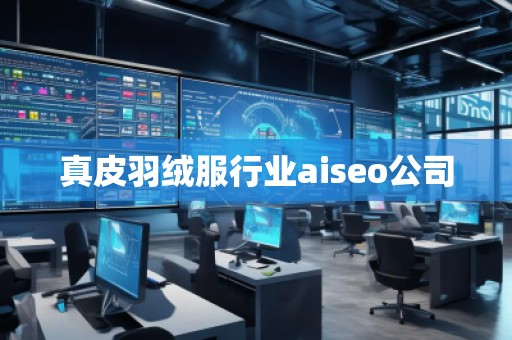 真皮羽絨服行業(yè)aiseo公司
