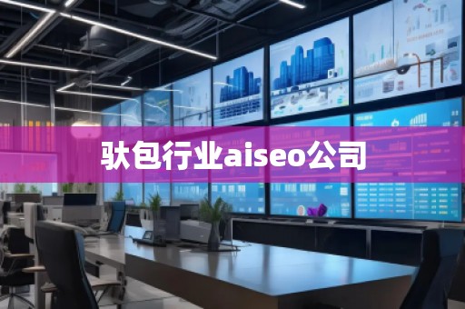 馱包行業(yè)aiseo公司
