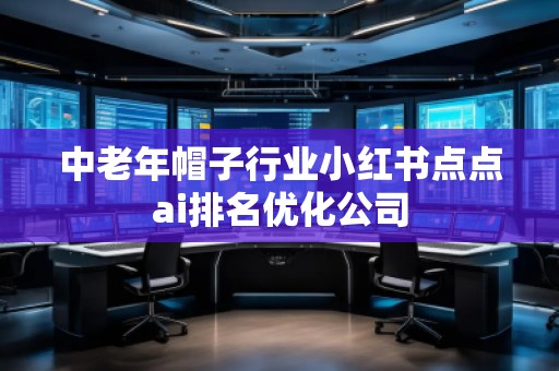 中老年帽子行業(yè)小紅書點點ai排名優(yōu)化公司