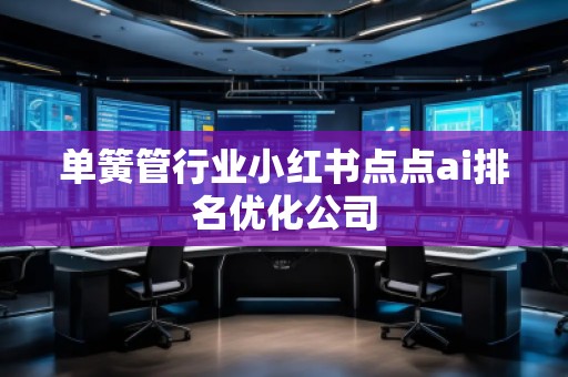 單簧管行業(yè)小紅書點(diǎn)點(diǎn)ai排名優(yōu)化公司