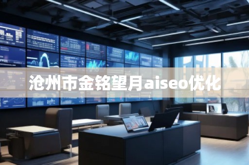 滄州市金銘望月aiseo優(yōu)化