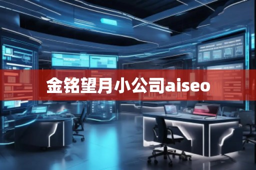 金銘望月小公司aiseo 金銘望月小公司aiseo
