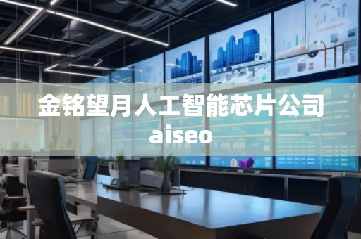 金銘望月人工智能芯片公司aiseo
