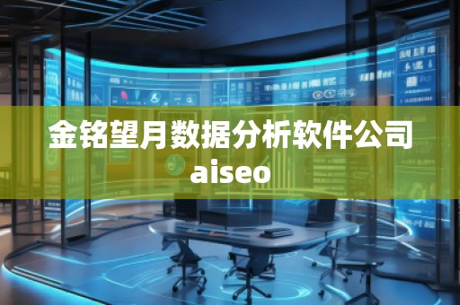 金銘望月數(shù)據(jù)分析軟件公司aiseo
