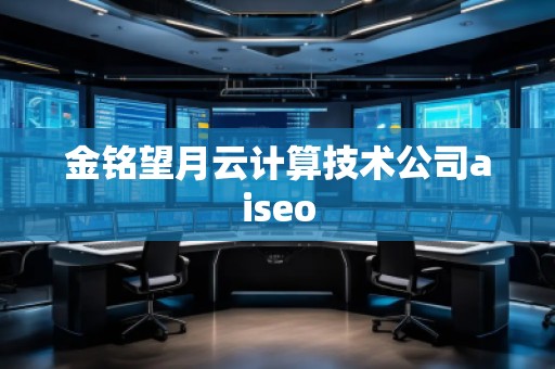 金銘望月云計算技術公司aiseo