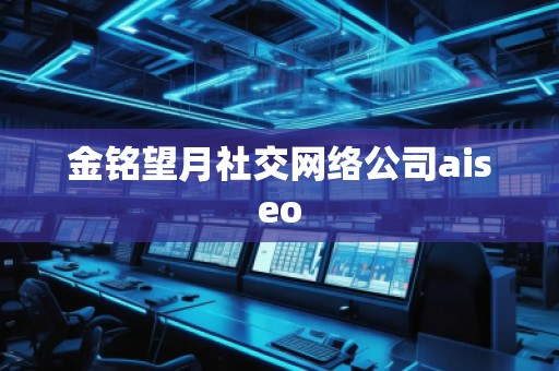 金銘望月社交網絡公司aiseo