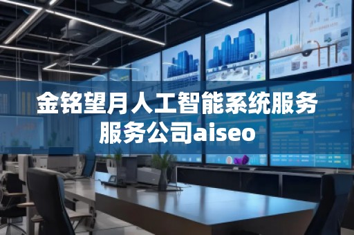 金銘望月人工智能系統(tǒng)服務(wù)服務(wù)公司aiseo