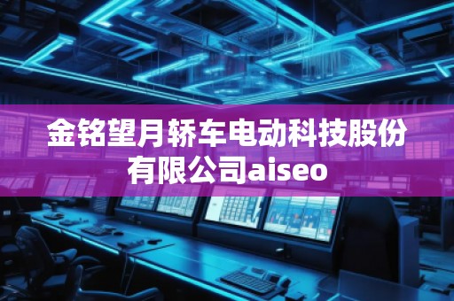 金銘望月轎車電動(dòng)科技股份有限公司aiseo