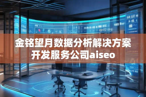 金銘望月數(shù)據(jù)分析解決方案開發(fā)服務(wù)公司aiseo 金銘望月數(shù)據(jù)分析解決方案開發(fā)服務(wù)公司aiseo