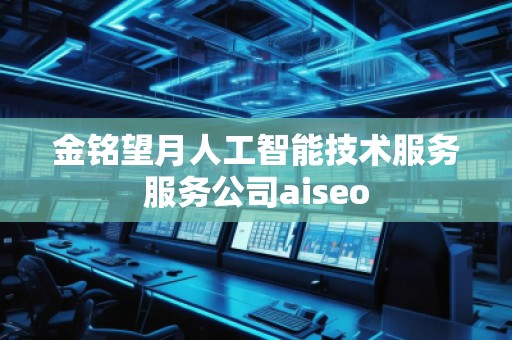 金銘望月人工智能技術服務服務公司aiseo