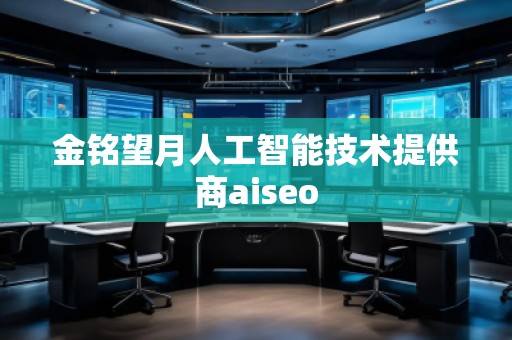 金銘望月人工智能技術(shù)提供商aiseo