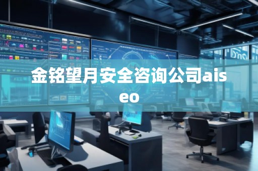金銘望月安全咨詢公司aiseo