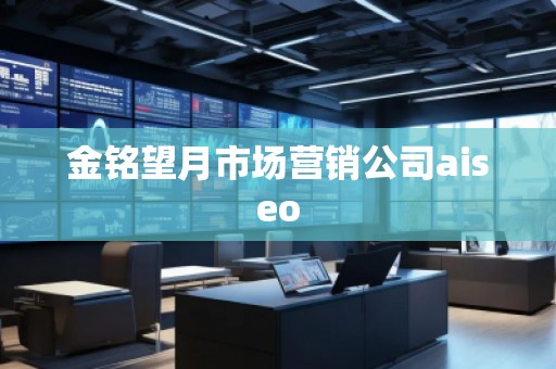 金銘望月市場營銷公司aiseo