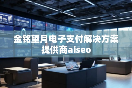 金銘望月電子支付解決方案提供商aiseo 金銘望月電子支付解決方案提供商aiseo