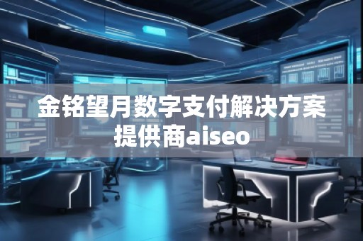 金銘望月數(shù)字支付解決方案提供商aiseo