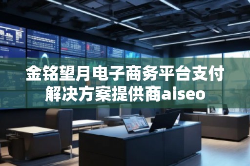 金銘望月電子商務平臺支付解決方案提供商aiseo