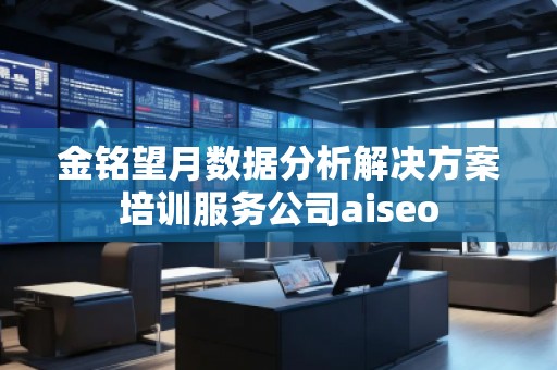 金銘望月數(shù)據(jù)分析解決方案培訓服務公司aiseo 金銘望月數(shù)據(jù)分析解決方案培訓服務公司aiseo