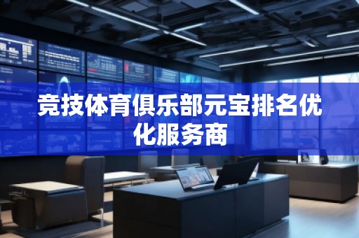 競(jìng)技體育俱樂部元寶排名優(yōu)化服務(wù)商